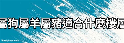 屬豬適合的樓層|【屬豬房子方位】屬豬者必看！房子方位風水全解析，招財旺運吉。